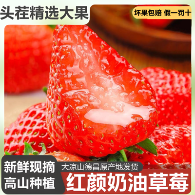 抢鲜99草莓红颜牛奶大草莓新鲜现摘水果当季整箱烘焙顺丰包邮