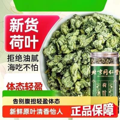 【3盒 特优级荷叶  同仁堂 远离油腻 】