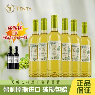 天帕智利中央山谷原瓶进口 京东配送 