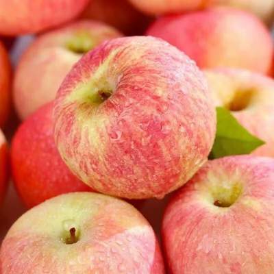 果迎鲜 红富士苹果 净果4.5斤70-75mm