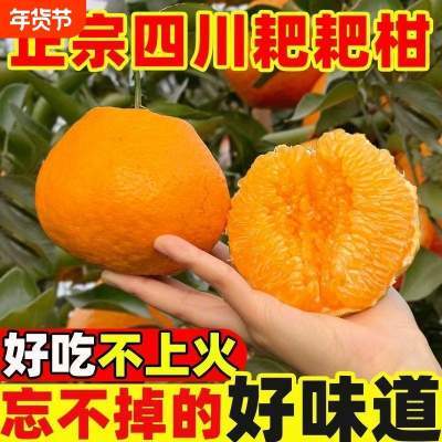 正宗眉山四川春见耙耙柑橘子新鲜水果孕妇当季水果甜蜜多汁年货节