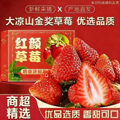 绿相忆 四川大凉山红颜草莓  2盒草莓单果16g+【精品果】