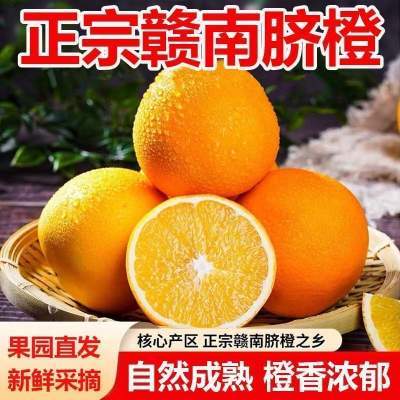 正宗江西赣南脐橙甜蜜多汁手剥橙子现采直发天然维c当季水果甜橙